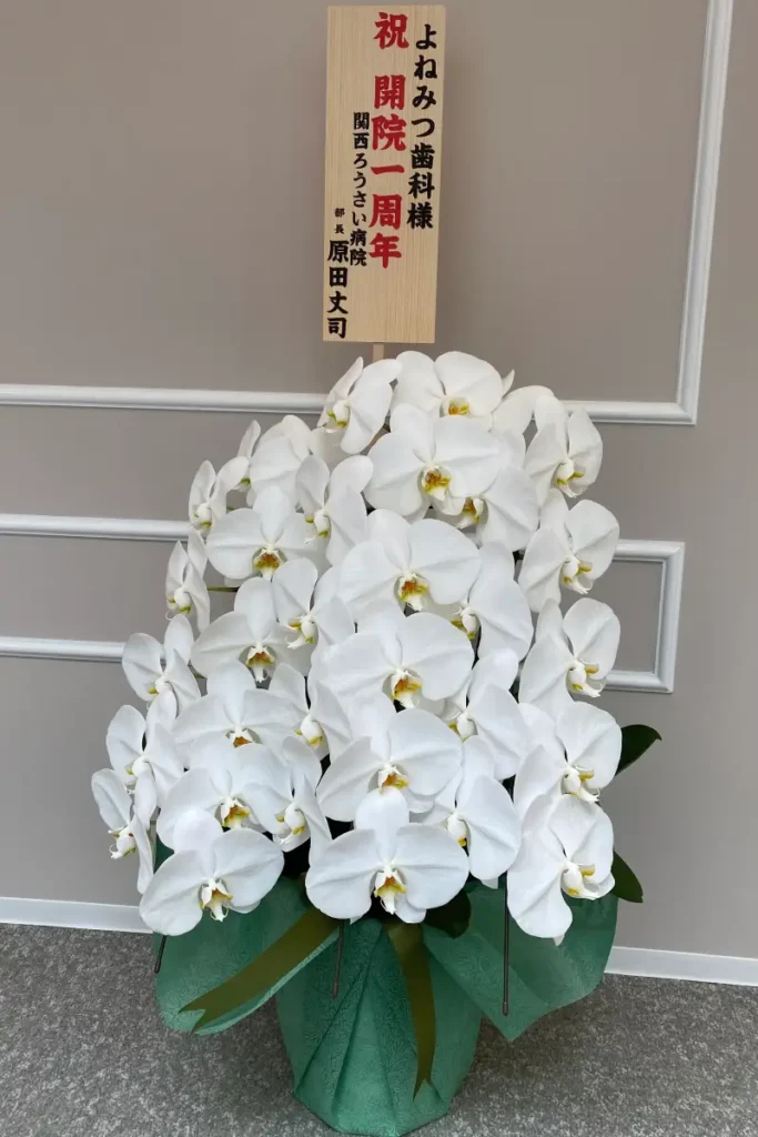 開院1周年のお祝いに届いた見事な白い胡蝶蘭と祝札