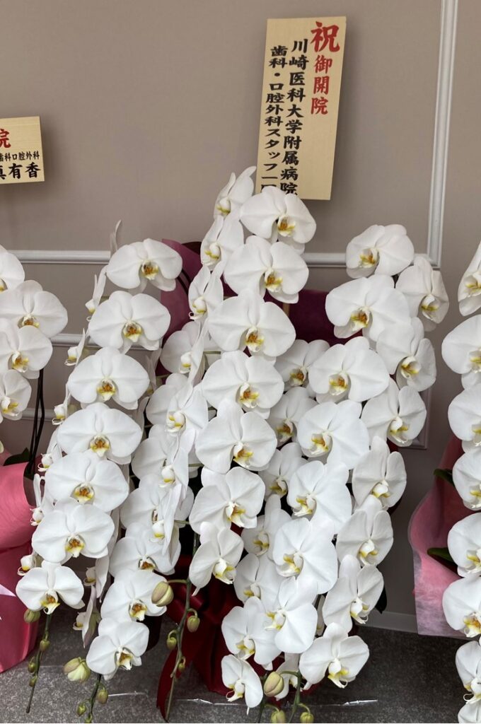 六甲道　よねみつ歯科　内覧会2