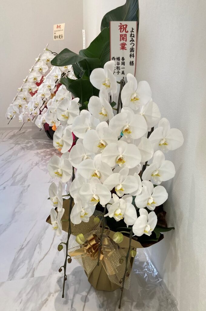 六甲道　よねみつ歯科　内覧会15